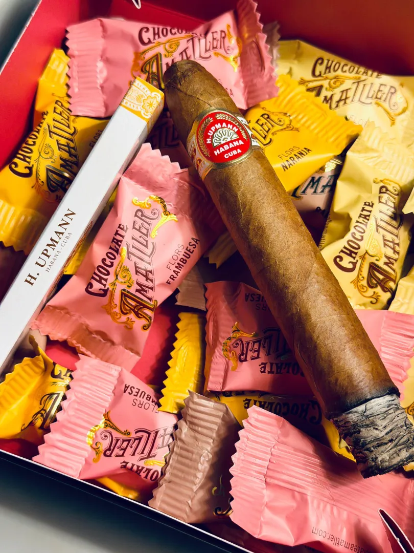 H.Upmann no.2 - around 4 years old. Paired with great coffe (DAK roasters) delivered a sublime experience.
