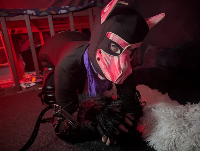 I was a baaaaad puppy girl