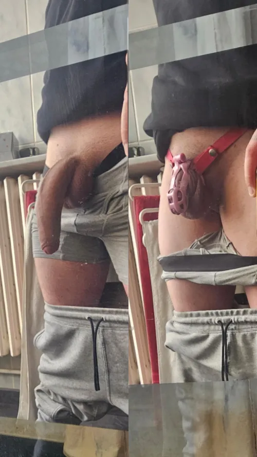 Just caged a few hour ago