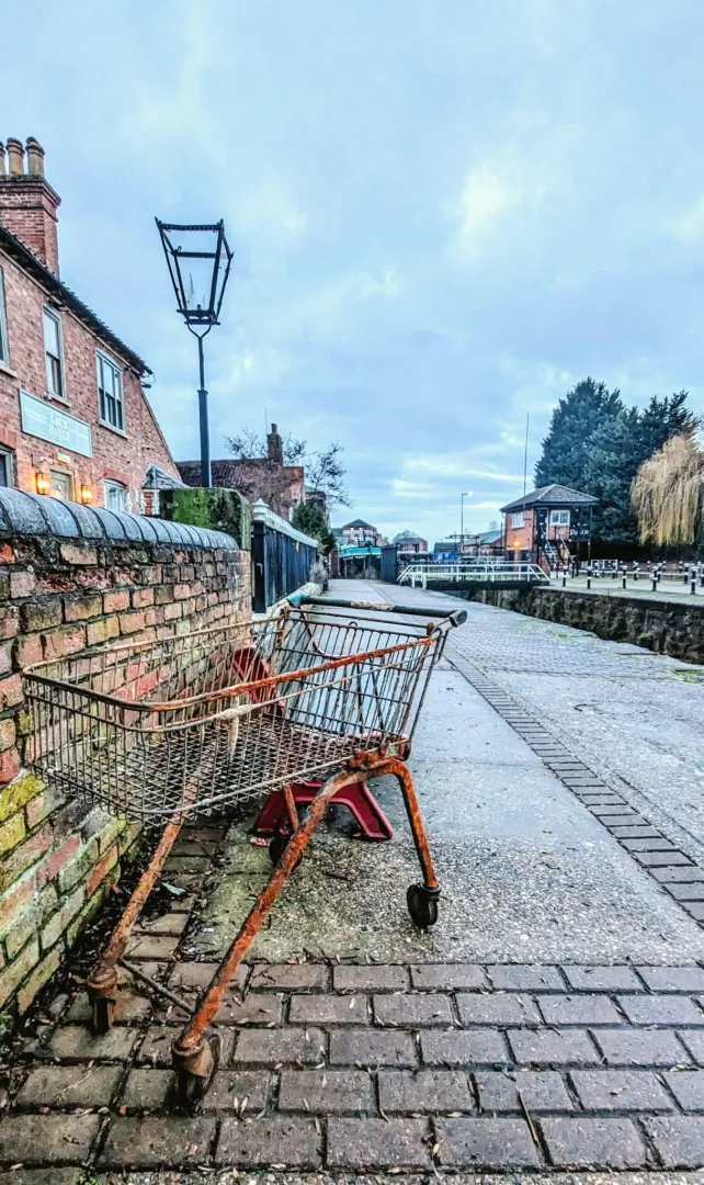 Nature is truly remarkable