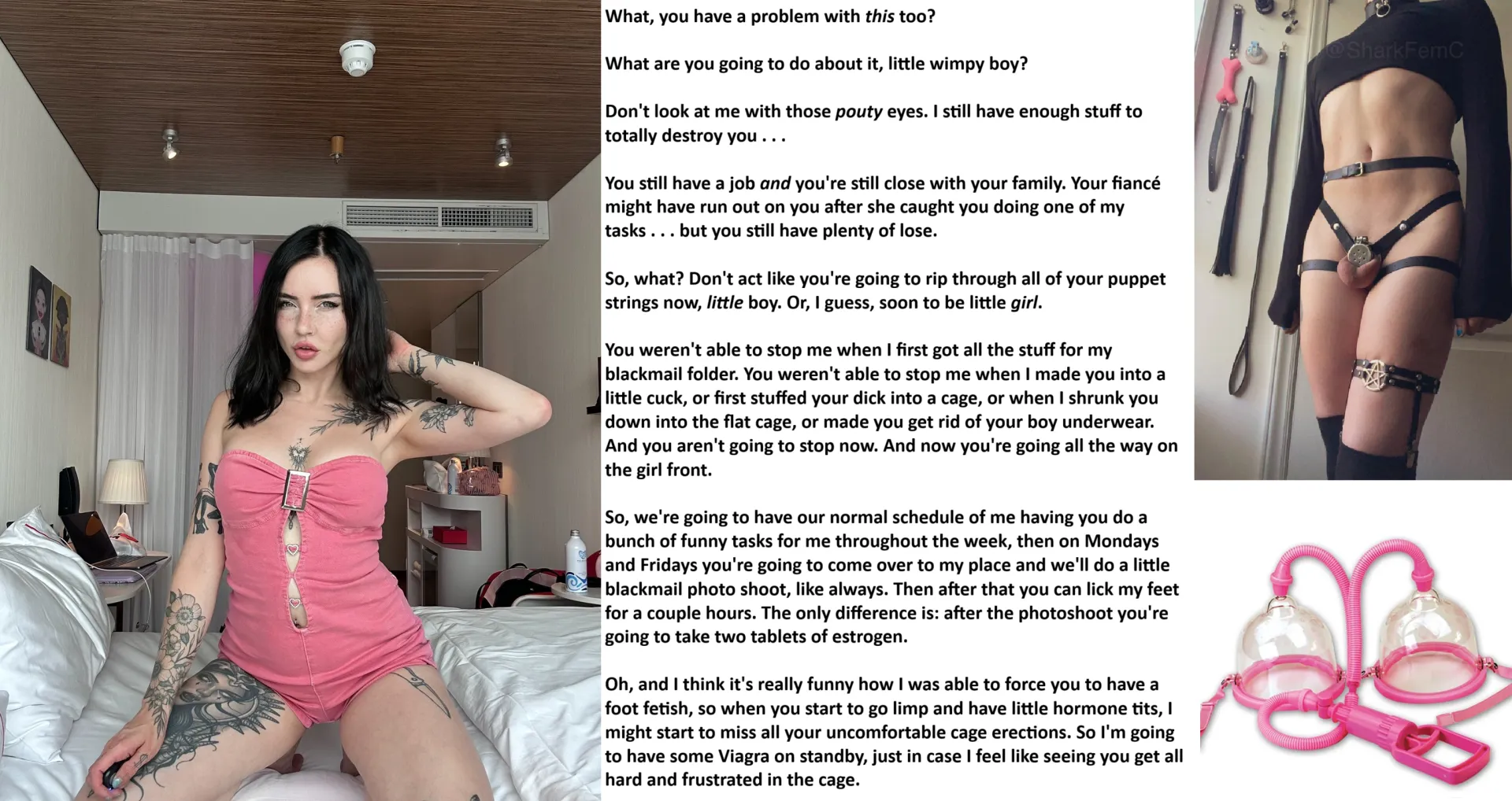 normal schedule (for destroying your life)