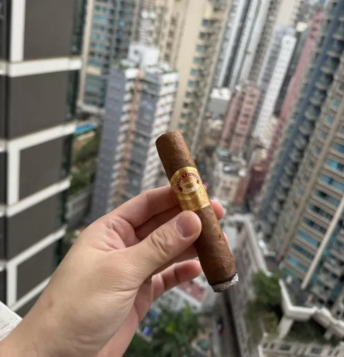 Romeo y Julieta Linea de Oro Hidalgos 2022