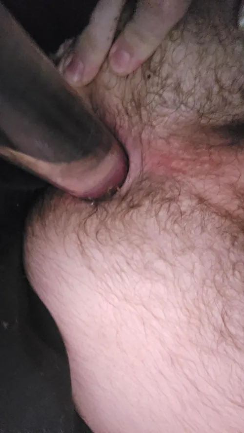 Tribute my asshole m19