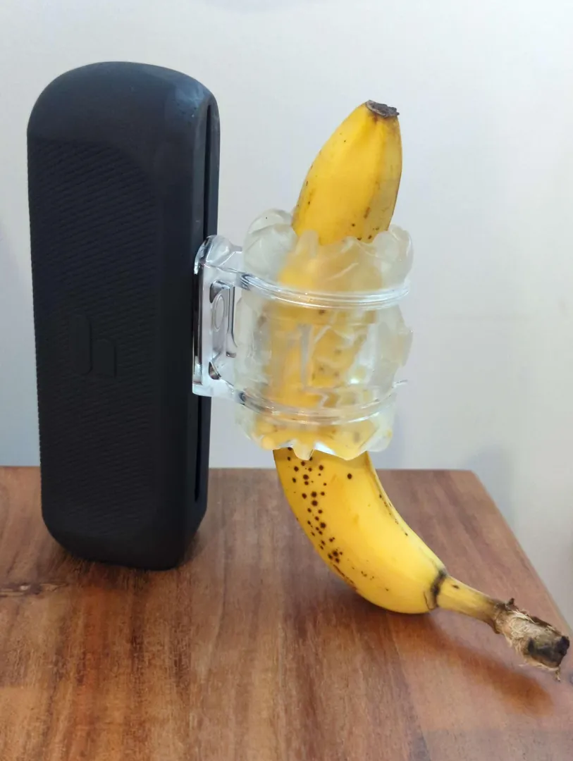 Visible Banana Version