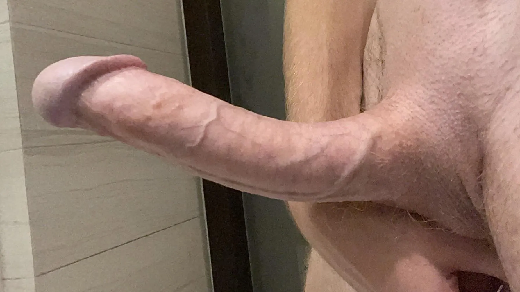 8in bwc college bull (straight)