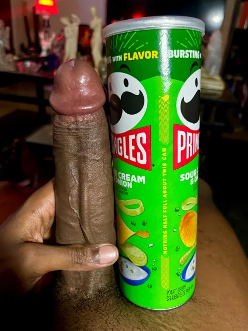 9” Bull. Denver. Tested, Can Host.