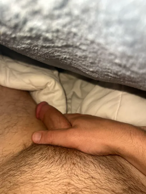 Bi curious, open to anything, take care of me and I can do the same. Hossting Aurora