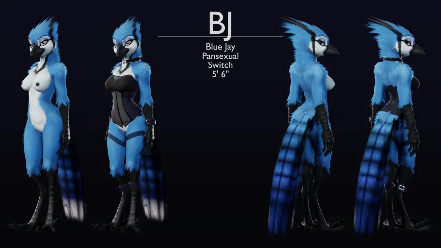BJ Refsheet (ruaidri) [F]