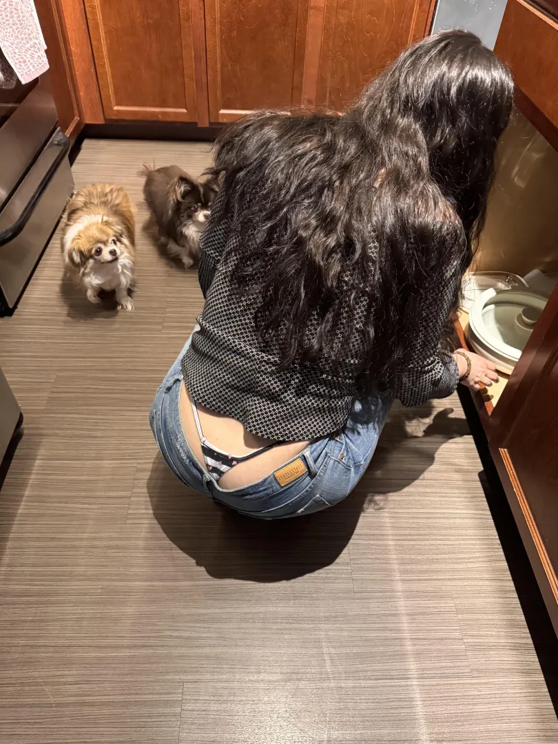 Bring back low rise jeans