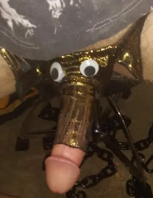 Caution: Elephant May Sneeze