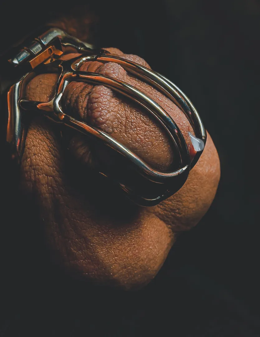 Chastity Tears... A weeping cock accepting his fate...