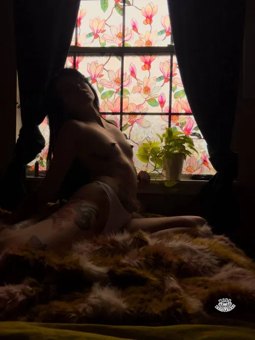 I redid my window area and I’m absolutely in love !