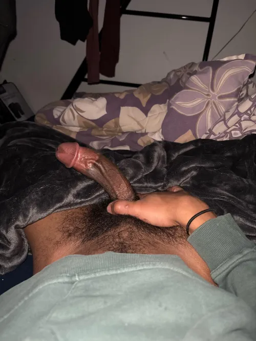 Morning wood 