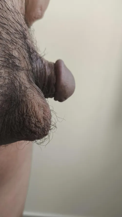 Small black semi-hard dick