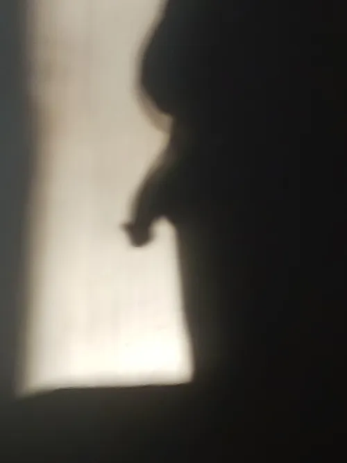 There's something lurking in the shadows!![52]