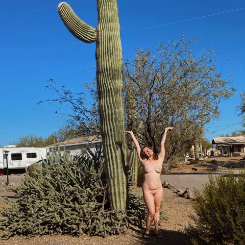 All this bitter cold is making me ache for desert warmth.