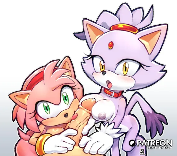 Amy & Blaze tag team [AhoandRiss]