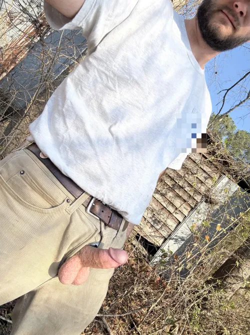 Georgia cock interest you?