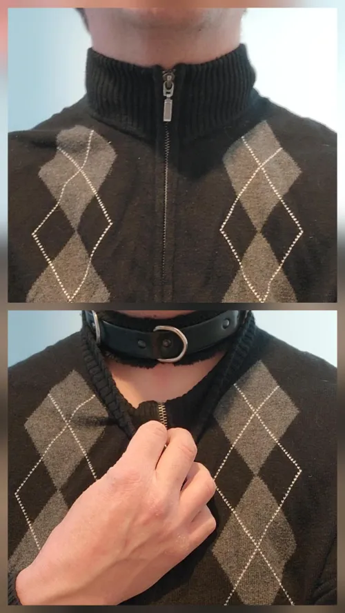 I wore my collar outside yesterday, hidden under my sweater.