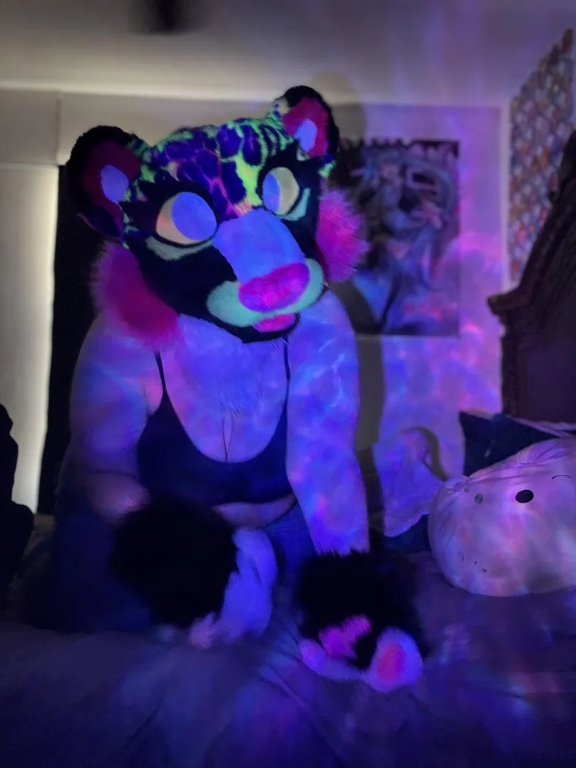 POV: Dumb kitty wants to sit in your lap 