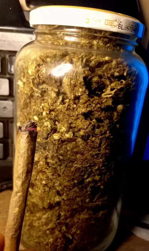 Quanto vocês gastam por mês com erva e quantos becks por dia vocês fumam ?