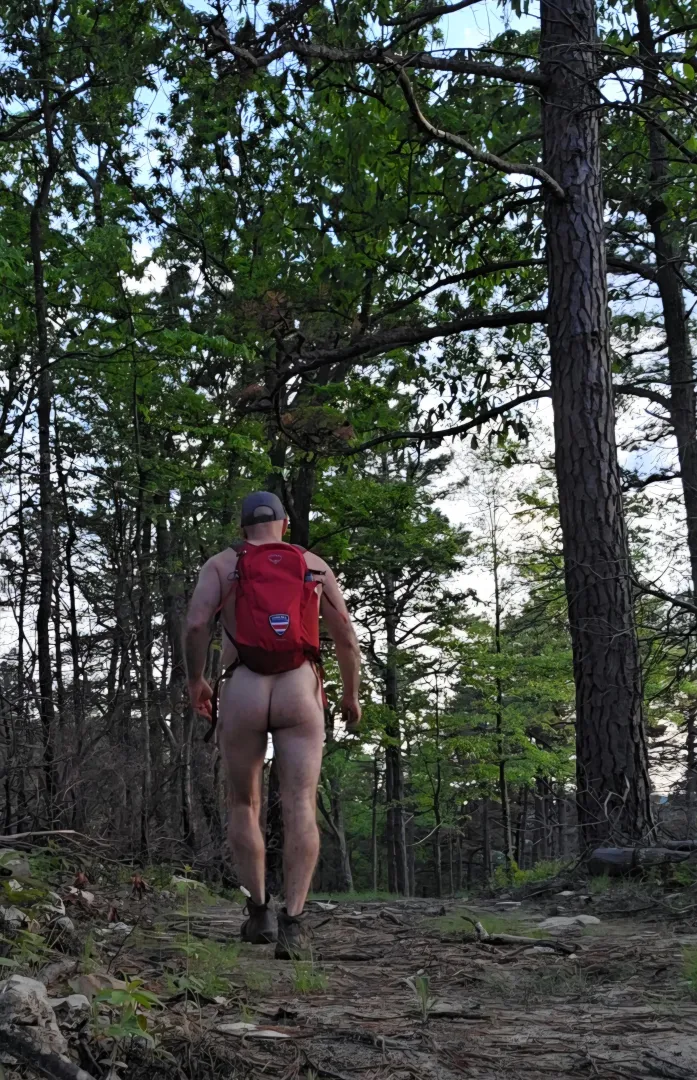 The cool of the evening