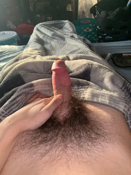 22 m nc 336 hmu