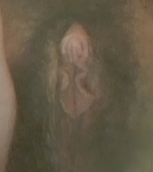 any girlies wanna get me pregnant 