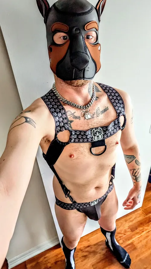Couldn't resist the harness jock strap combo