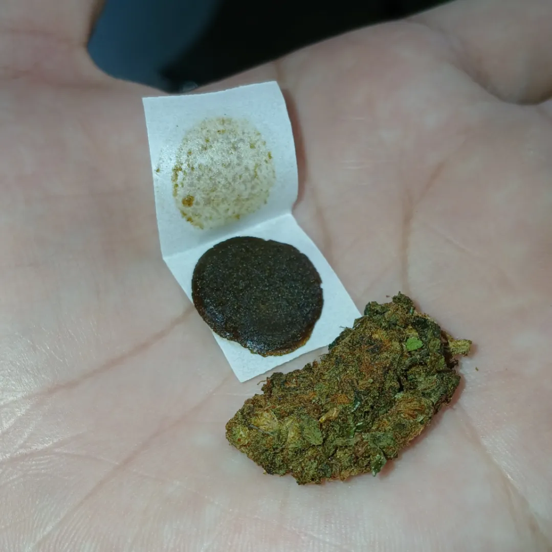 gelo de 50 e flor de 10