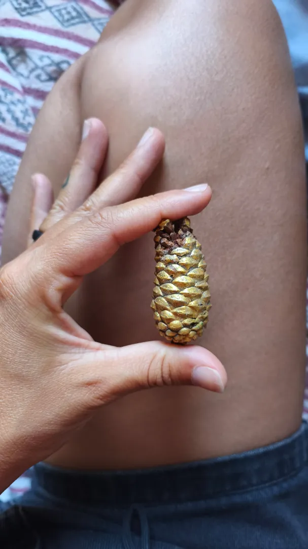 Hahaha, I thought of you! It must be because of your little one.