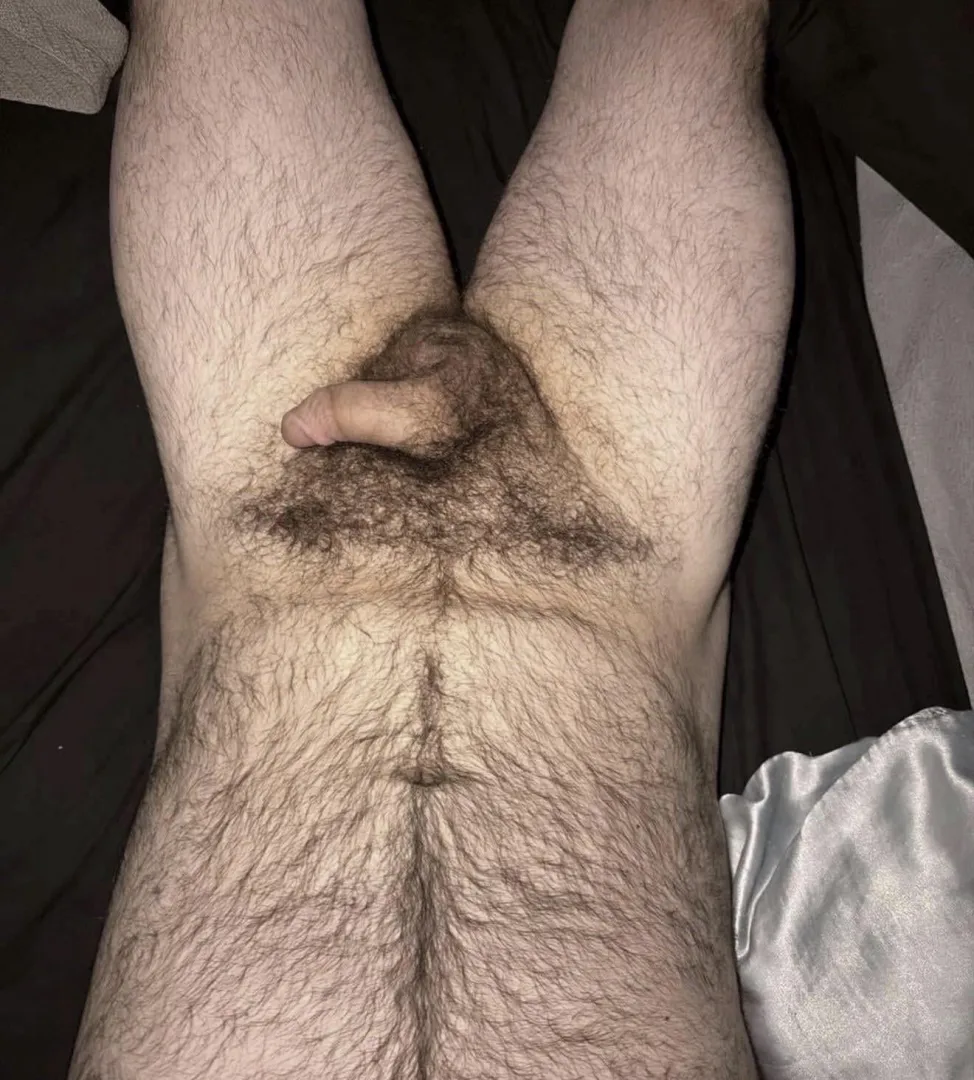 M22. Looking for a hairy white masc bro to jerk and cum with. Country+ blue collar+ frat+ jocks+ bush+ face+ vidcall+ musk+ long term+ USA+ kinky+ verbal+ roleplay+ fit (not required but a plus) snap: henry_j2085