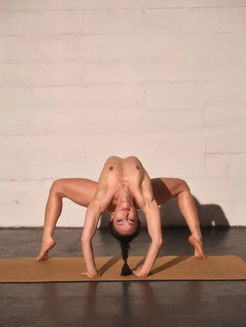 (OC) What would you call this yoga pose?