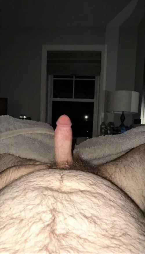 Top bear looking for bottom