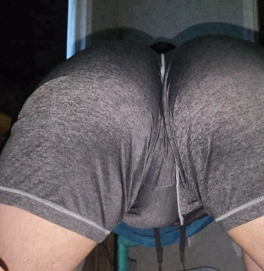 29 sissy near the border