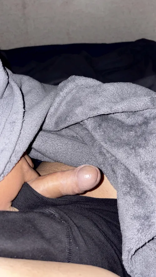 Morning wood anyone?!