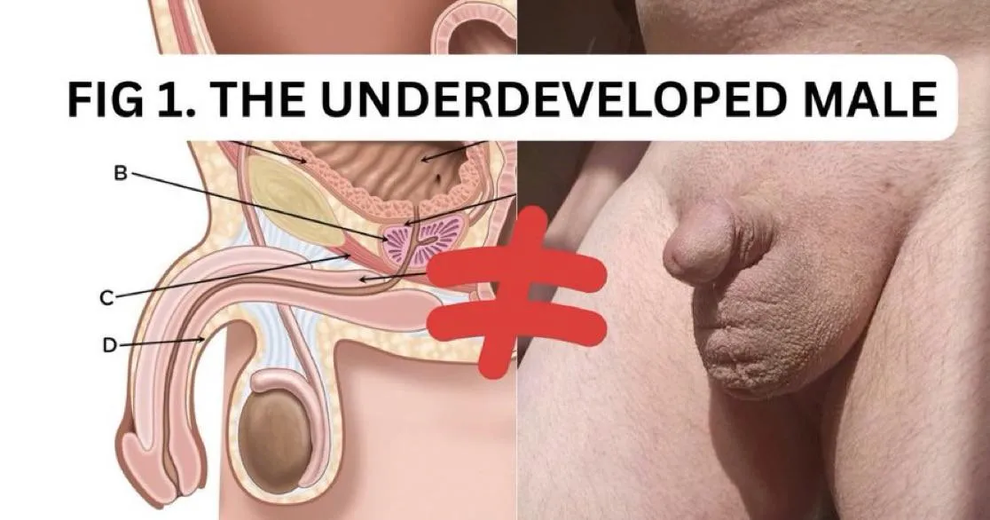 OBSERVE: how the inferior male bears no resemblance to a Man