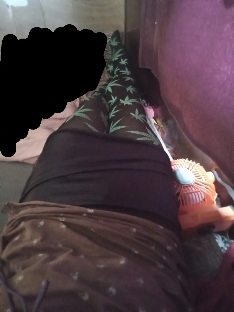 21 Hillsboro carplay nights