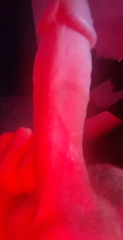 21m bull for F in the augusta area