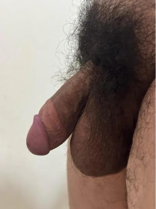 Cut unshaven semi