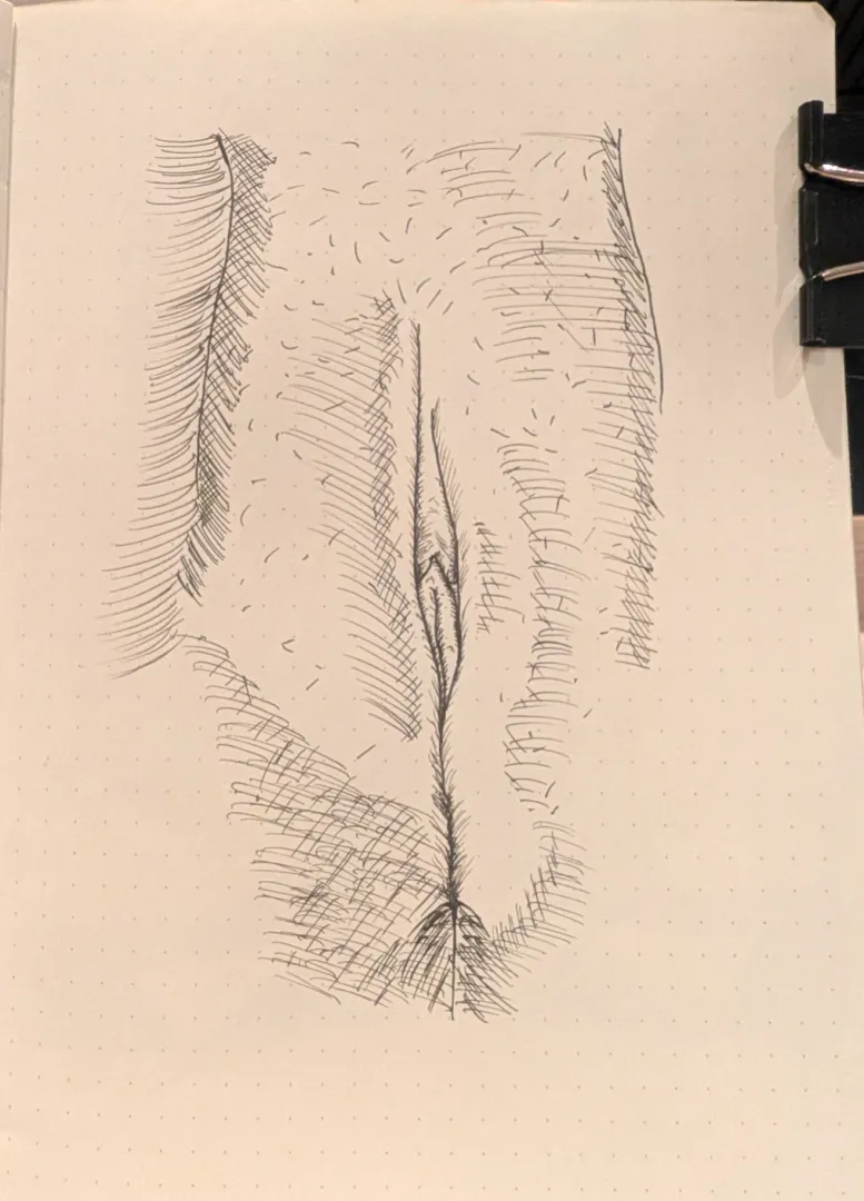 Day 24 - Close-up study