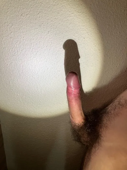 Hairy French twink playing with the shadow