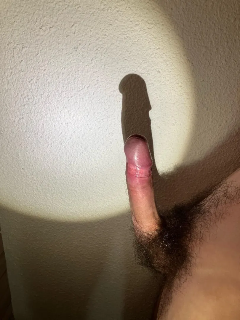 Hairy French twink playing with the shadow
