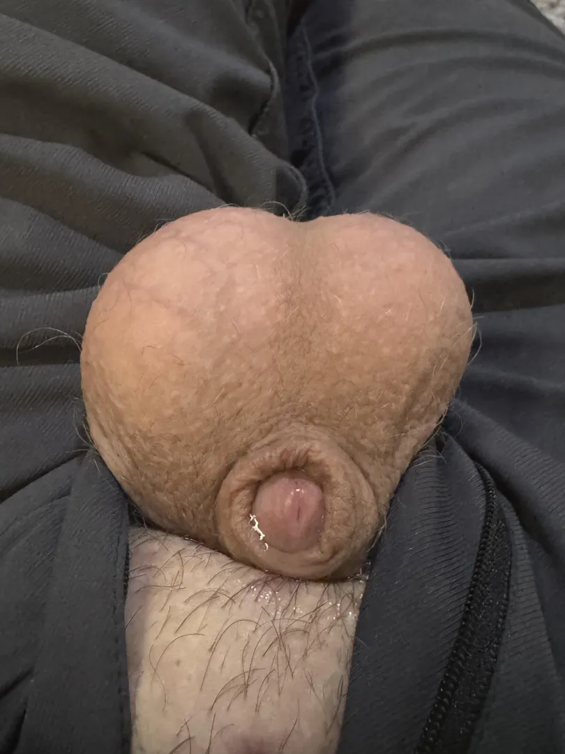 My small leaky cock