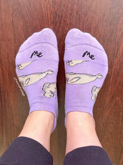 My sock-covered toes are looking for a cum soaking! 