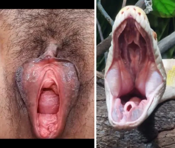 Omg I always masturbate to this Gaping cunt!!!! Look at the comparison! I love it!