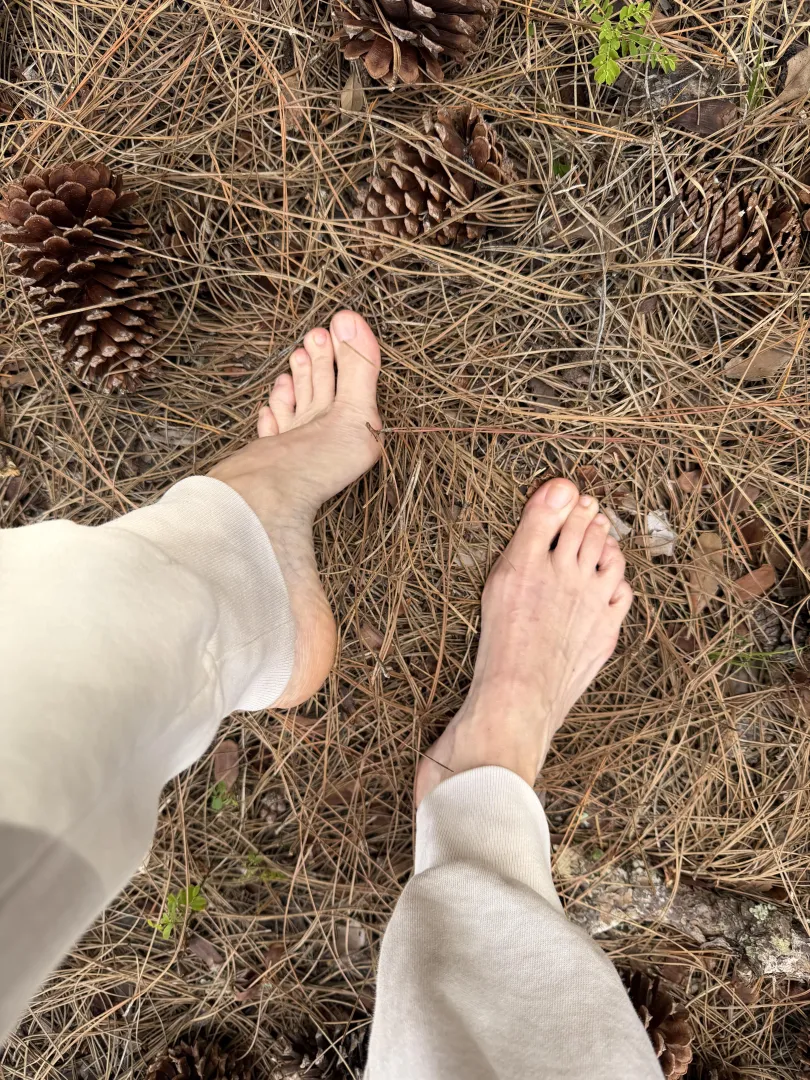 Pine cones are the land mines of the woods when you’re barefoot