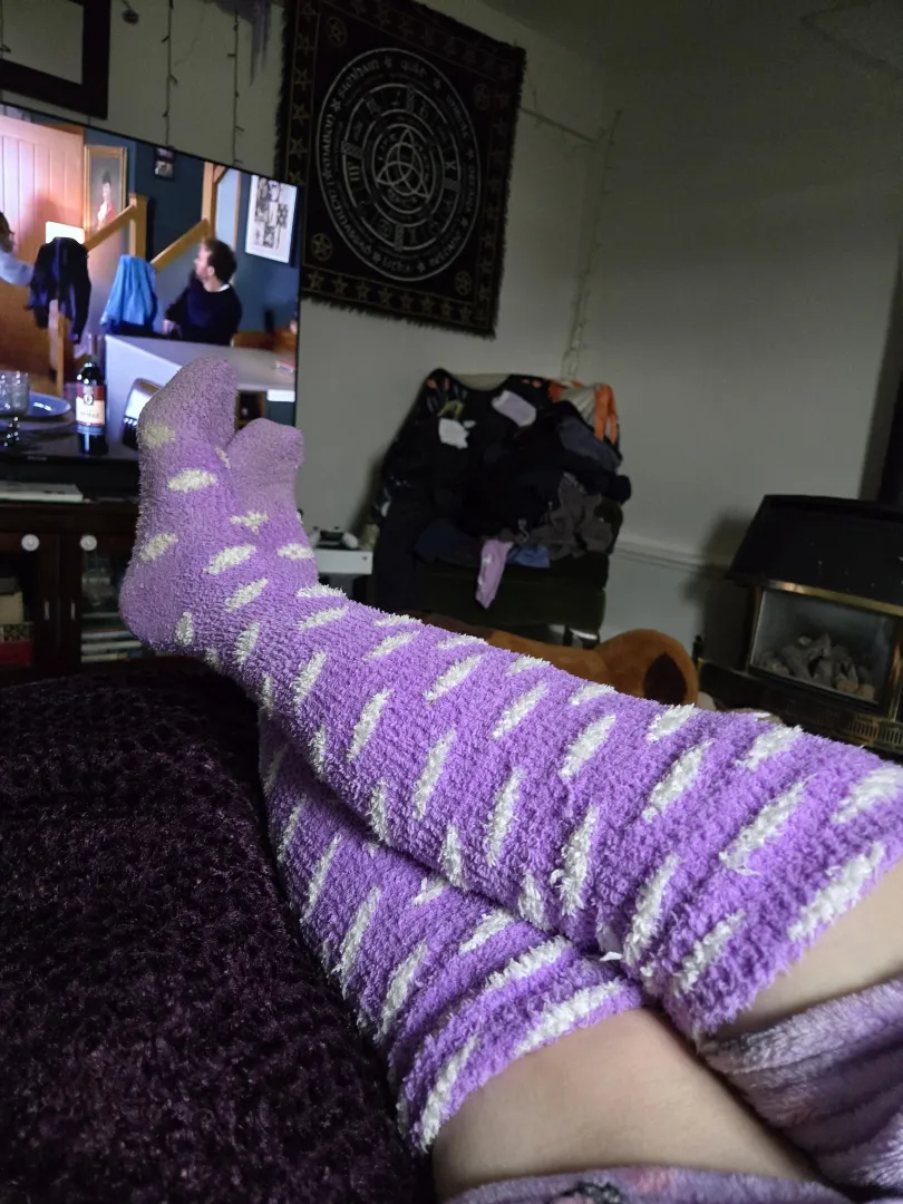 Polka fuzzies chilling hard  wanna sniff? Earn it first 