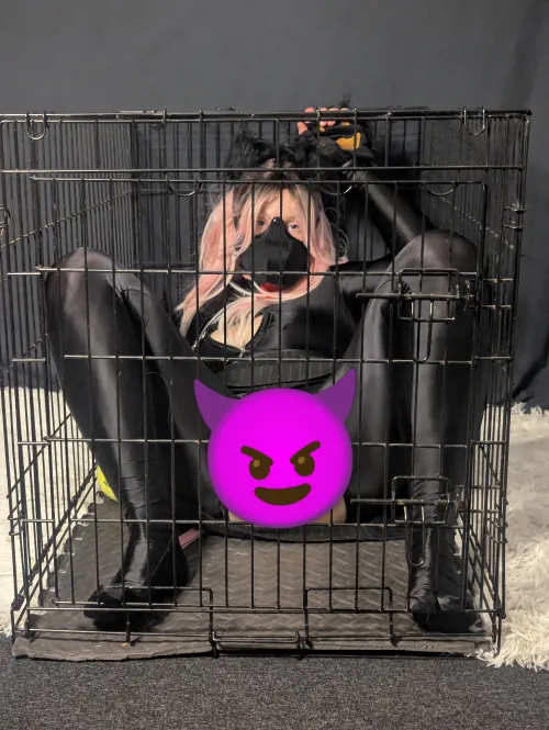 Puppy girl in her small cage and exposed 
