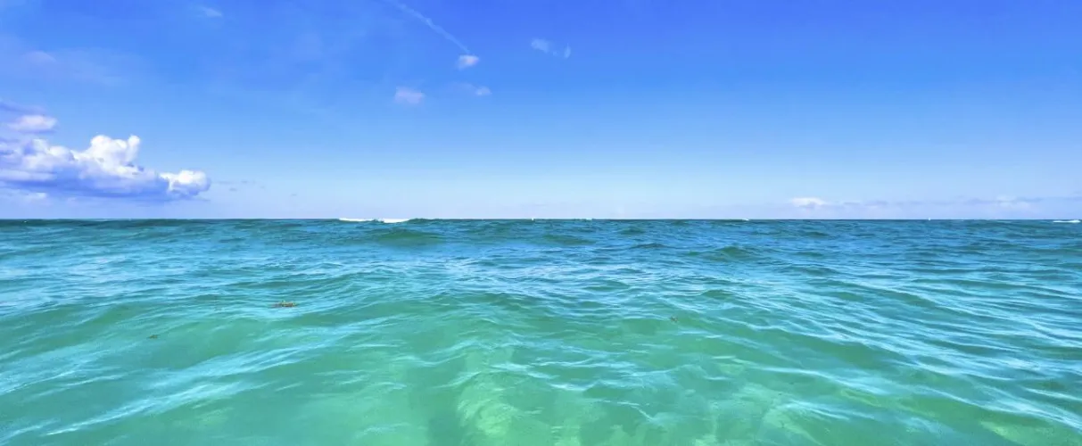 We’ll be down 3/17-3/22! Anyone else going to be around??